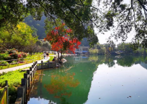 佛山順德中集智城項(xiàng)目地塊園林景觀工程